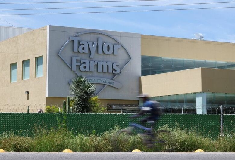 北米最大級の農産物会社テイラー・ファームズは、サルモネラ菌汚染の恐れがあるとして、複数の州でウォルマートやホールフーズなどの小売店に提供したハラペーニョ（唐辛子）を含む調理済み食品をリコール（自主回収）している。写真は先月、メキシコにあるテイラー・ファームズの施設（２０２６年　ロイター／Daniel Becerril）