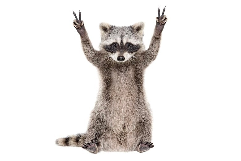 （写真はイメージです）　Sonsedska Yuliia-Shutterstock