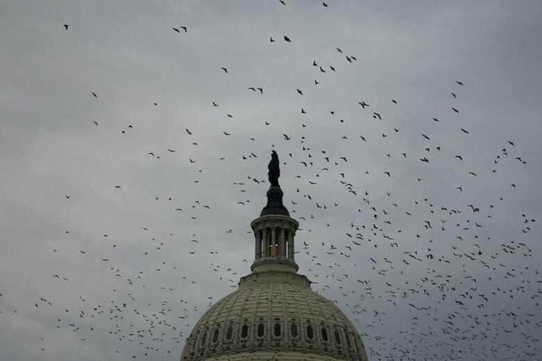 写真は米国議会議事堂。8月7日、米ワシントンで撮影。REUTERS/Nathan Howard