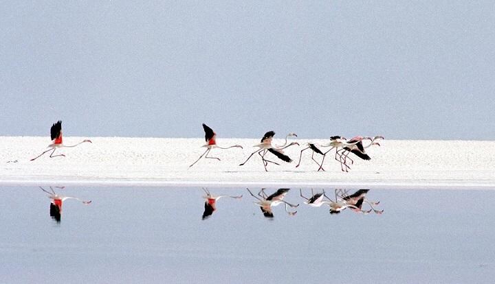 イラン南部の湖　CAREN FIROUZ -REUTERS