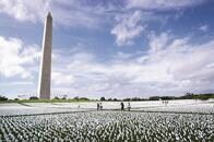 米ナショナル・モールに並ぶ66万の白旗が象徴する「アメリカの苦境」