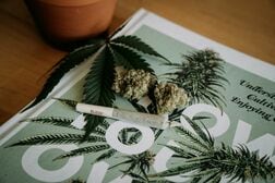 大麻使用で不整脈のリスクが減る？　常用者の調査で際立っていた「ある発見」