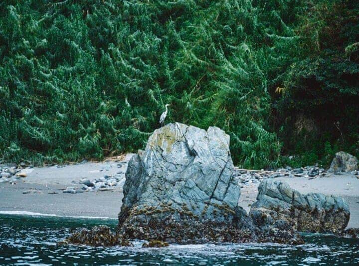 国産み神話にゆかりある沼島で