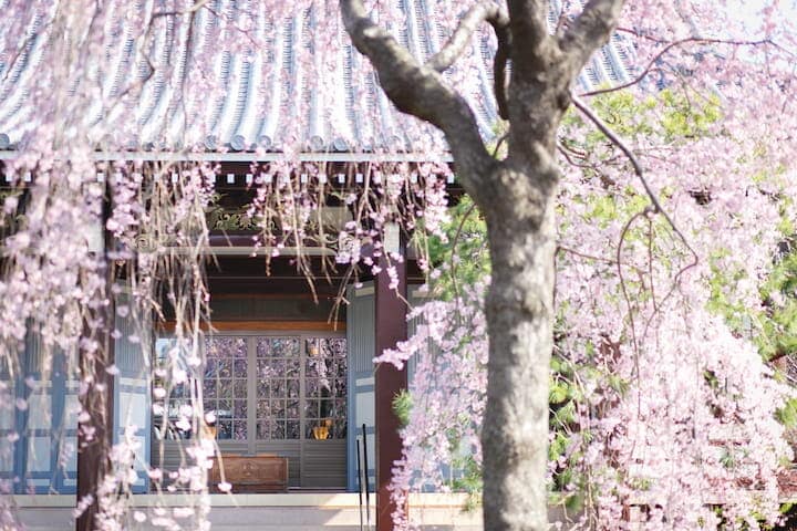 圓照寺 日本庭園