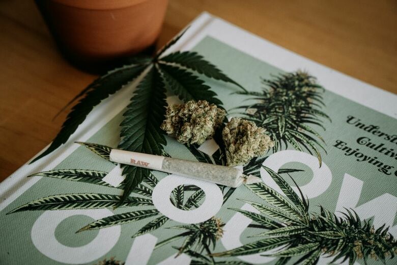 大麻が健康に及ぼす影響は？（写真はイメージです）　Shelby Ireland-Unsplash