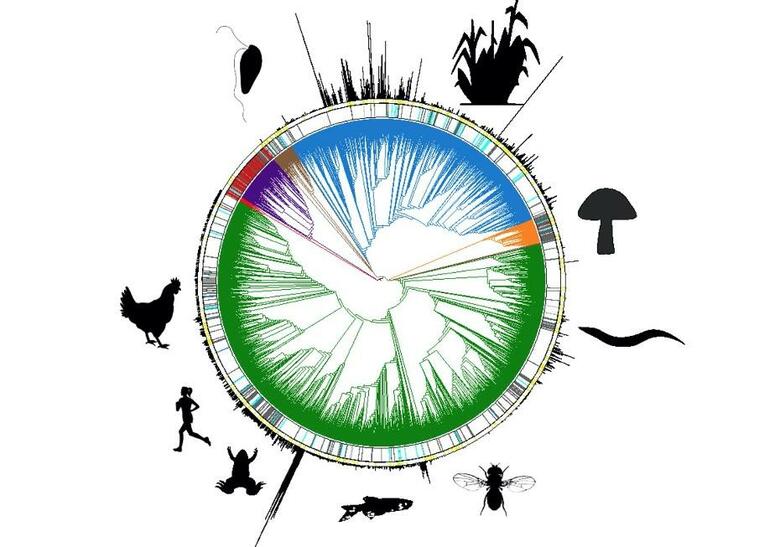バイオのムーンショット型研究ともいわれる地球バイオゲノムプロジェクト　　earthbiogenome.org