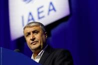 イラン、ウラン濃縮活動放棄せず　保有ウラン引き渡しも拒否＝原子力庁長官