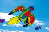 日本のたことひと味違う、国際たこ揚げフェスティバル...50カ国が参加！（動画）