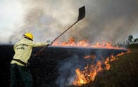 アマゾンの熱帯雨林が燃えるとアンデスの氷河が解ける