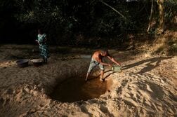 アングル：エルニーニョ直撃のスリランカ、干ばつ深刻化で農家収入減