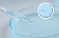 体外で精子を作れたら？ 男性不妊に新たな希望の光