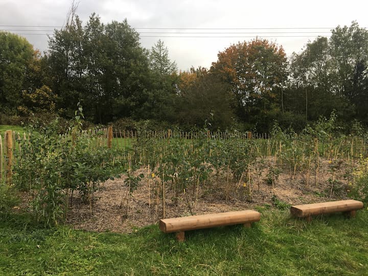 小さな森 アースウォッチ・ヨーロッパ