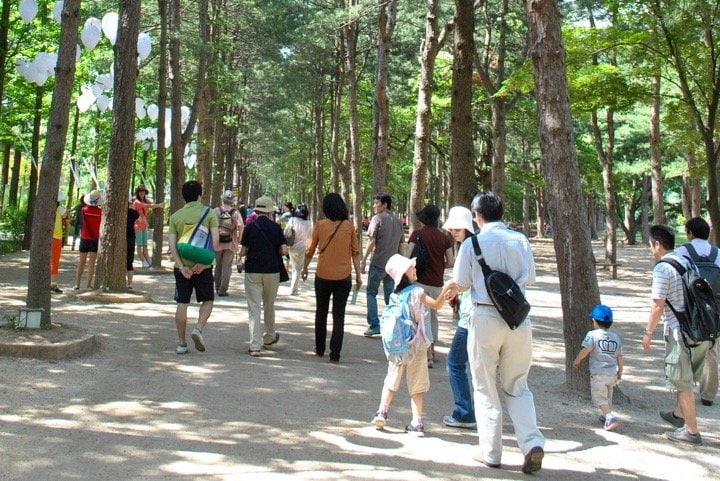 江原道春川市にある有名な観光地、南怡島