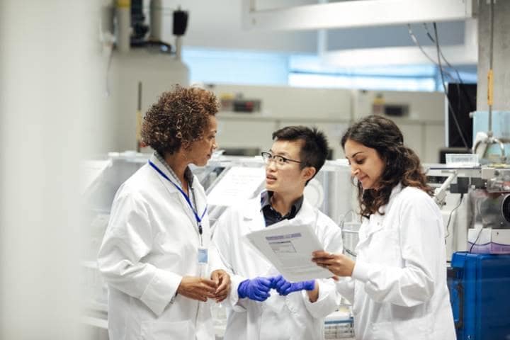 「男女格差は生まれつき」との根強い偏見をはね返し、科学、技術、工学、数学で活躍する女性が増えている　SolStock-iStock