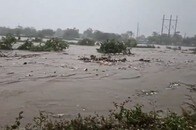 【動画】ハリケーン「ベリル」の猛威、ジャマイカで濁流に飲まれた野犬たちの運命は？