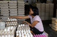 フィリピンＣＰＩ、5月は前年比＋6.8％　予想外に伸び鈍化