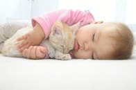 「ネコとの生活が小児喘息の発症リスクを軽減する」との研究結果