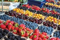 ベリー×お茶で「身も心も」健康になれる？...長寿のカギを握る「フラボノイド」とは？【最新研究】