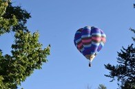 ラオスで熱気球が「着陸に失敗」して木に衝突...絶望的な瞬間、乗客が撮影していた映像が話題