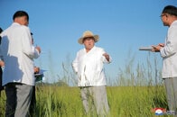北朝鮮の中高生「恐怖の夏休み」──熱中症で大量死も