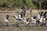 「遺書は用意した？」 歩いて野生動物に会いに行くウオーキングサファリに参加したら