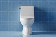 【動画】「ヘビ？」「マジで怖い...」内側から便器を破壊、深夜のトイレで「大暴れ」していた「凶暴すぎる犯人」の正体