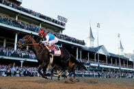 人にはワクチン、馬には薬物？　ケンタッキーダービーで騒動