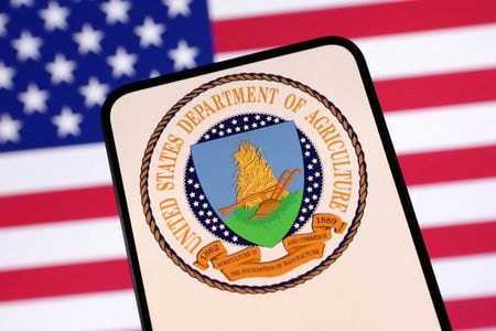 米農務省は６月２３日、未開発の森林での伐採、道路建設、採鉱を禁止したクリントン政権時代の政策を廃止すると発表した。４月２３日撮影のイメージ写真（２０２５年　ロイター/Dado Ruvic/Illustration）