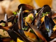 「魚や貝を通じてプラスチックを食べている」という研究結果が明らかに