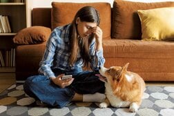 愛犬の気になる異常行動は飼い主の気分のせい？　犬は「気分や感情に驚くほど注意を向けている」