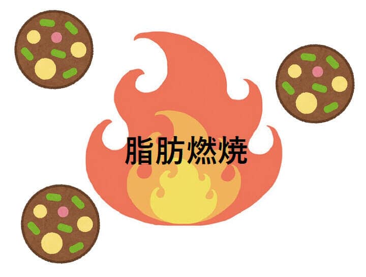 褐色脂肪細胞の上清液には、抗炎症作用・抗老化作用／ミトコンドリアの機能の活性化／代謝機能改善、などが期待されている。