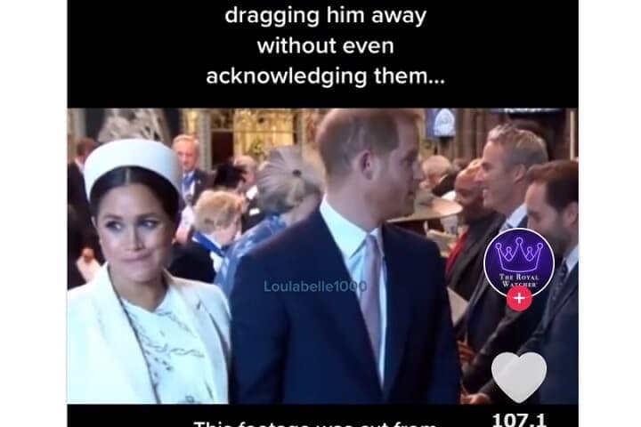 @the.royal.watcher/TikTok