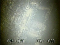 日本が危ない!?　福島原発の放射能フェイクニュースが拡散中