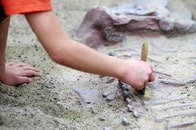 中国で今まで発見されたことがないような恐竜の化石が発見される...ほかの恐竜にない「特徴」とは