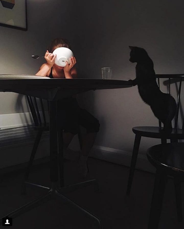 From Cheryl Senter <a href=\"https://www.instagram.com/p/BcYL_fMAA3L/\"target=_blank\"><u>@tea_journals</u></a>