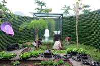 さすが中国！　「革命」で増殖する使い勝手を超えた奇抜なトイレ集