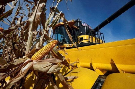 　４月１７日、中国政府は、農協大手ＣＨＳなどの米企業に対し、中国へのモロコシ（ソルガム）輸出に際し最大１７８．６％の預託金を徴収することを明らかにした。１８日から開始する。写真はイリノイ州ミノッカで２０１４年９月撮影（２０１８年　ロイター／Jim Young）