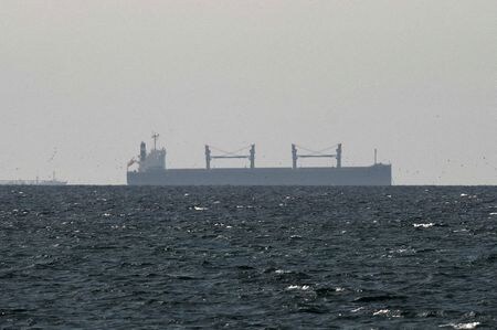 ホルムズ海峡付近の貨物船。3月11日、アラブ首長国連邦（UAE）のラスアルハイマ北部で撮影。REUTERS