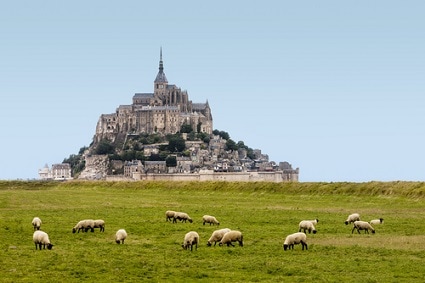 島がひとつの行政区（コミューン）にもなっているモン・サン＝ミシェル。手前で草を食むのは、名物プレサレ羊　wims-eye-d/Shutterstock