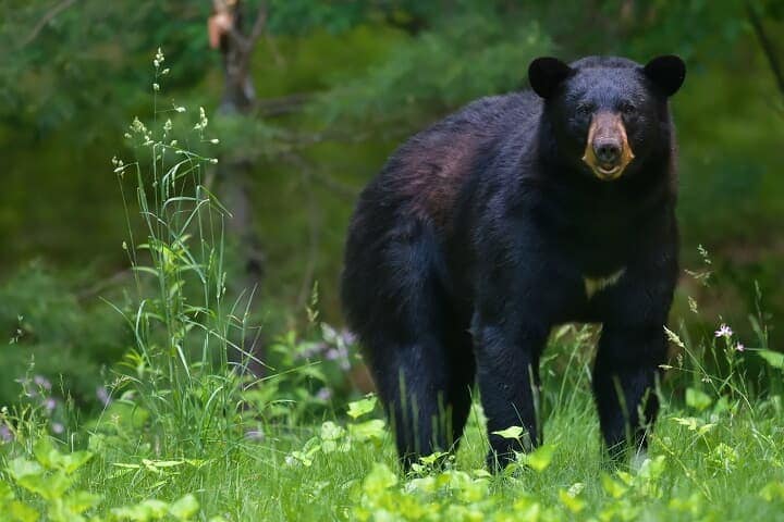 （写真はイメージです）　Robert Winkler-iStock