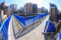 久々の日本でまだ続いていた車優先社会