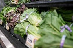 米の寄生虫感染症集団感染、ミシガンで初の死者2人確認