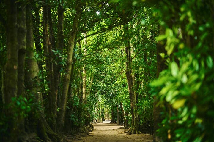 DEFENDERでめぐる山陽、山陰、九州、沖縄の旅