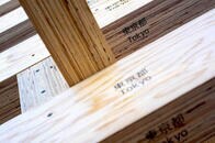 東京から生まれる、森林資源の好循環