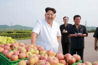 りんごが「解毒剤」になる......北朝鮮で出回る危ないウワサ