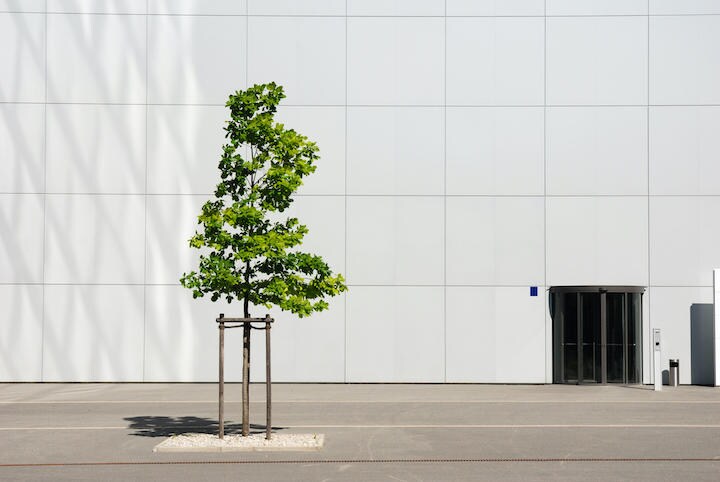 森林だけでなく、単木でも、一定の冷却効果がある...... manwolste -iStock