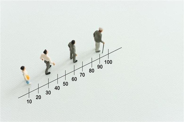 tomertu -shutterstock-