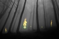 墓場に現れる「青い火の玉」正体が遂に判明...「鬼火」を発生させる、意外なファクターとは