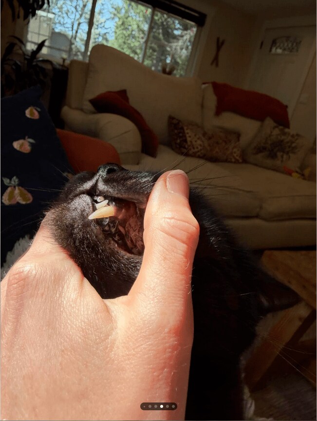 スクリーンショット (80).png