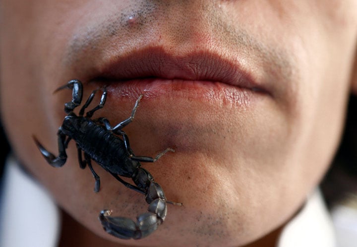 飼い主の顔の上を這うペットのサソリ（サウジアラビア、リヤド）　Faisal Al Nasser-REUTERS